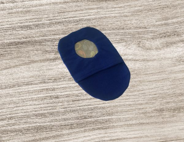 Blue Back of Head Phones